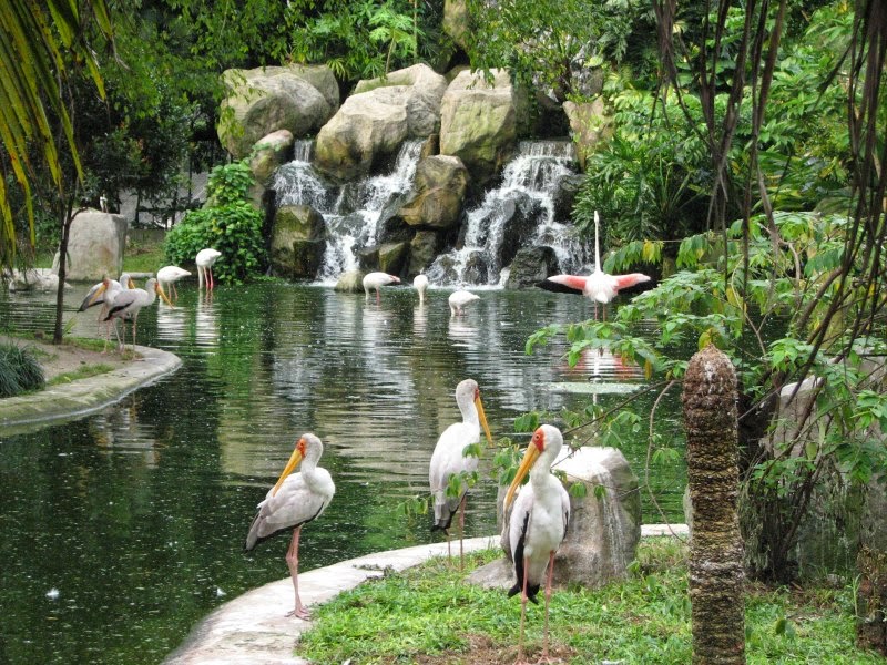 Tempat dating di shah alam